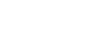 light logo